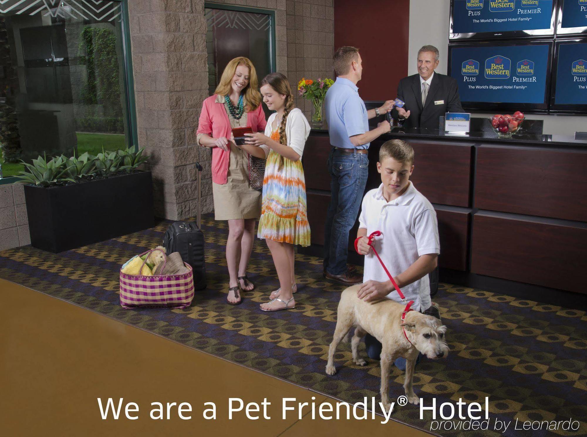 Best Western Socorro Hotel & Suites Екстериор снимка